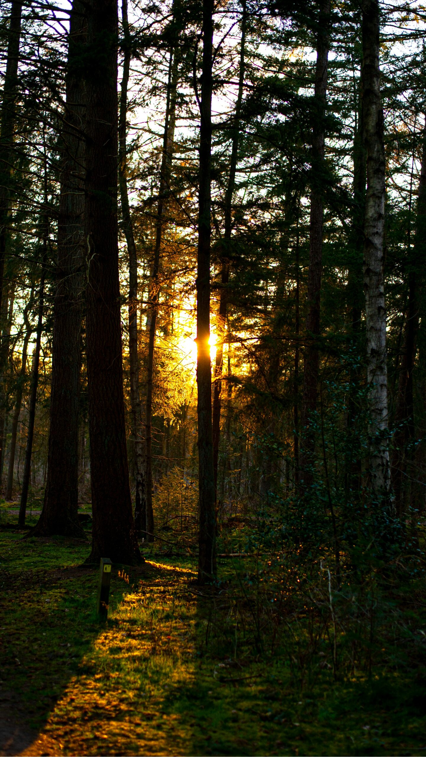 Home jeffrey brandjes a nkn0gv3xa unsplash