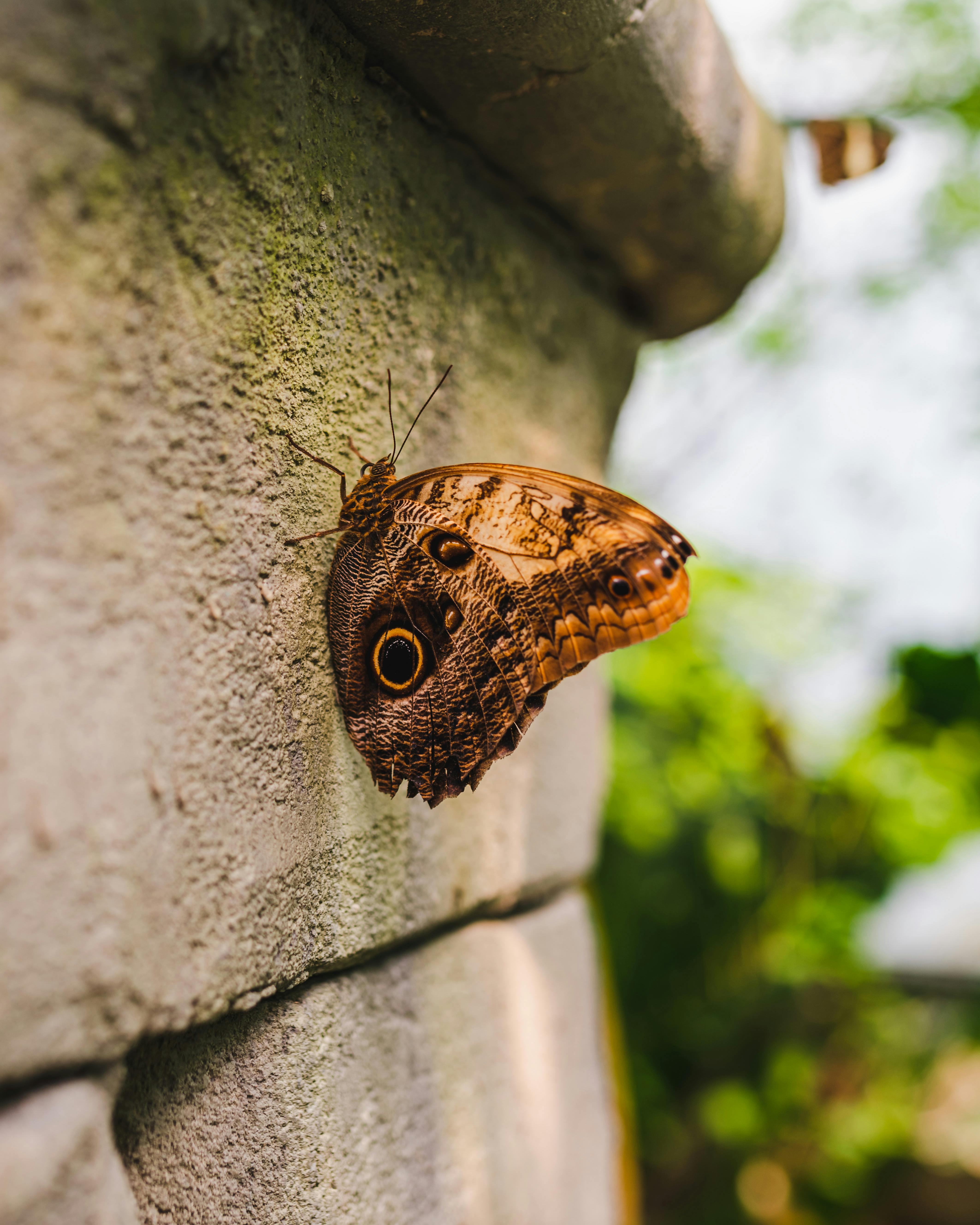 Home pexels genaro gil 551781061 16704935