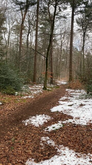 Home e5800473 048a 48a0 bb6b ccd081cf7eb2