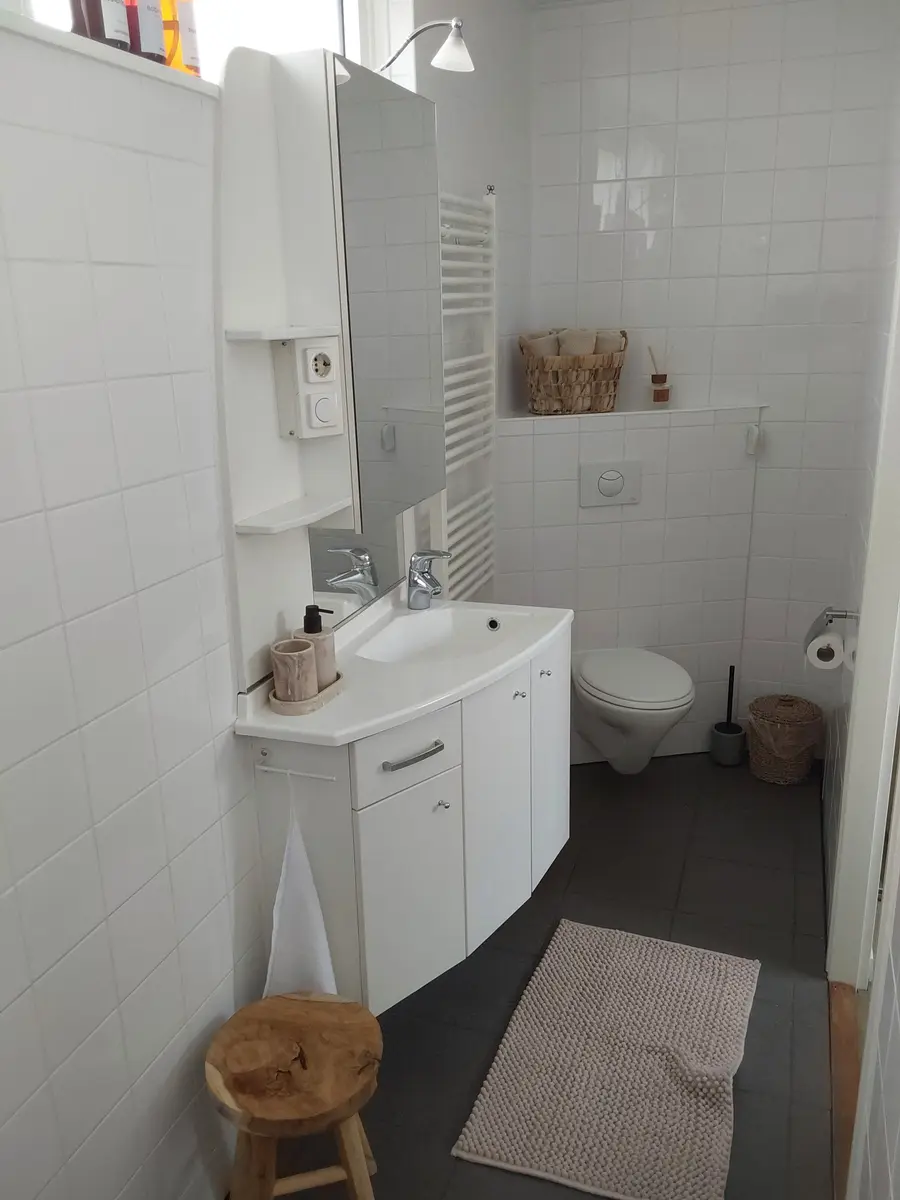Privébadkamer met wastafel en toilet van de B&B