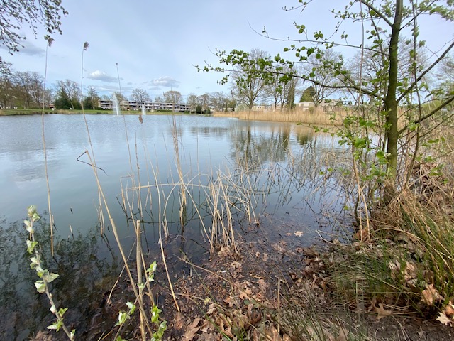 img 0908